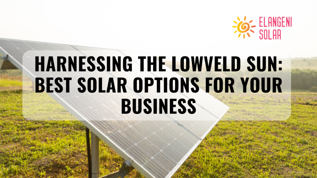 Harnessing the Lowveld Sun: Best Solar Options for Your Business